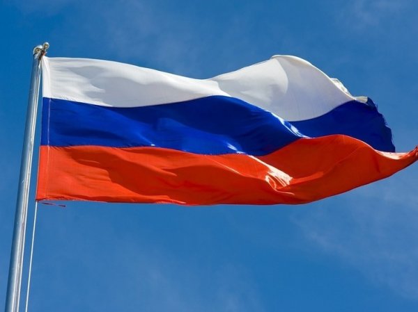 В Госдуме прокомментировали новогоднее обращение посольства США к россиянам