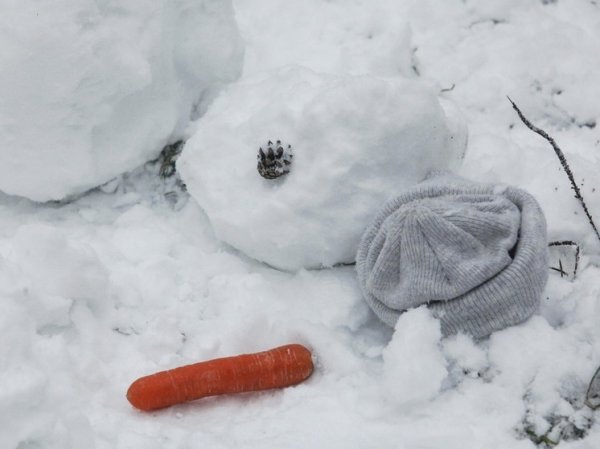 В Москве прогнозируется морозное Рождество