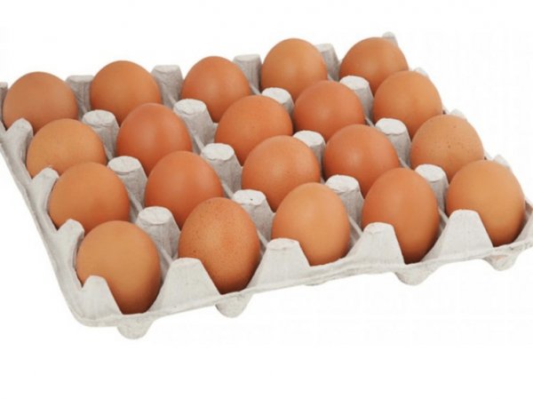 Одно гусиное или три куриных: эксперты назвали альтернативу подорожавшим яйцам