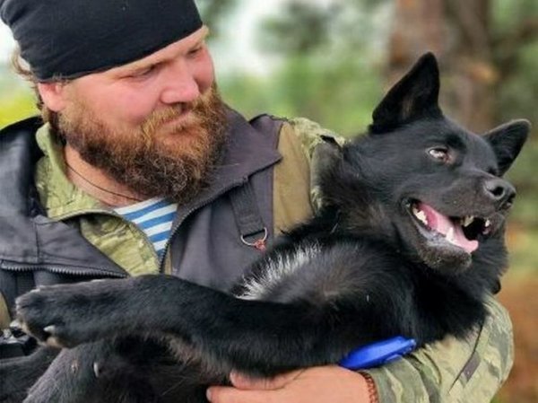 Бойцы СВО рассказали о четвероногих питомцах: кошка-спасатель и пес-антидрон