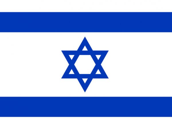 Атаку на Израиль 7 октября в ООН могут признать преступлением против человечности