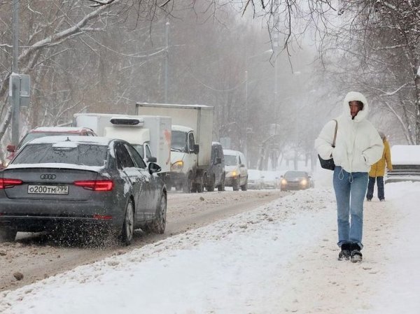 В Москве распространили экстренное предупреждение из-за сильного снега
