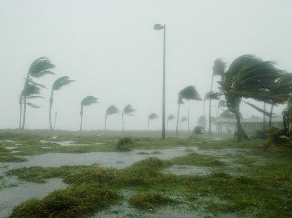 Около 300 российских туристов попали под мощнейший ураган на Маврикии