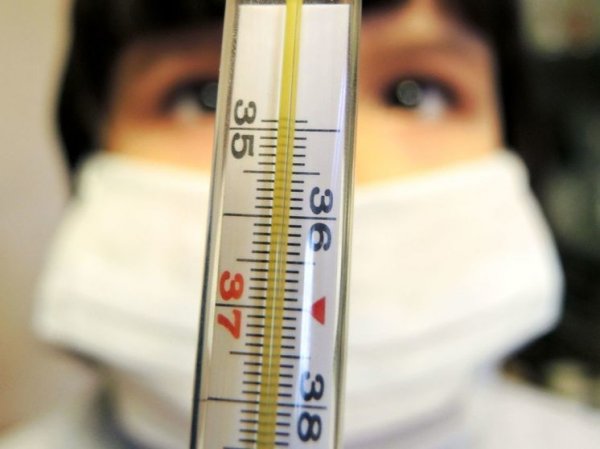 Роспотребнадзор пообещал затухание волны гриппа в РФ через три недели