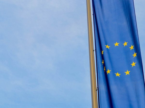 Истеблишмент ЕС с ужасом обсуждает скорую победу «антиевропейских» партий в девяти странах