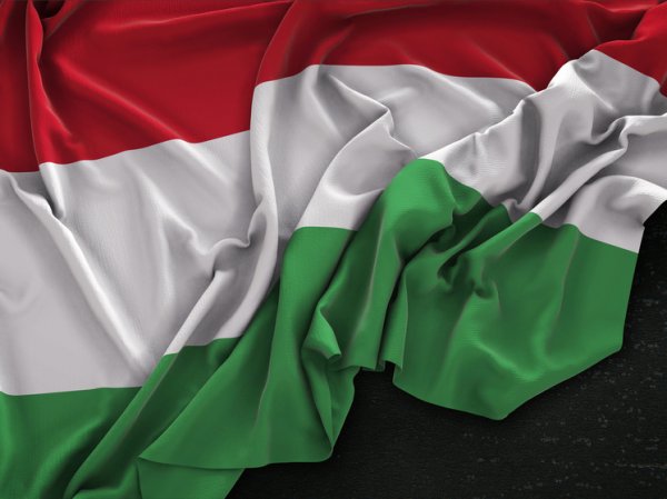 Стало известно, сколько венгров выступают против военной поддержки Украины