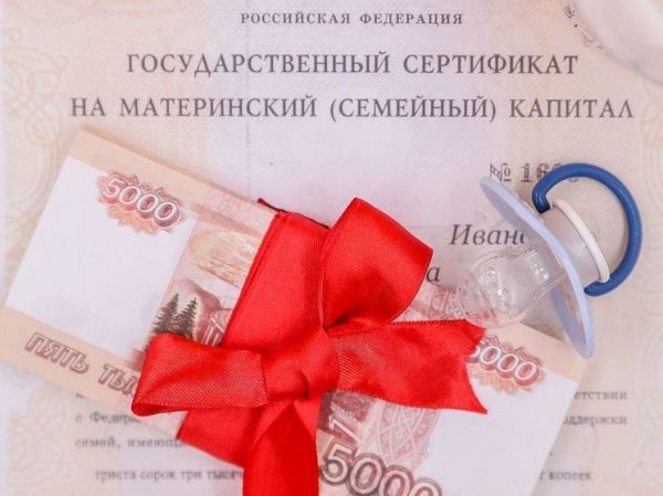 Россиянам предложили разрешить тратить маткапитал на одну цель