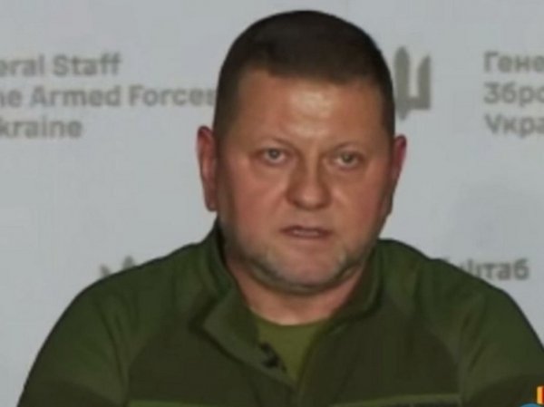 В ДНР прокомментировали слухи об отставке Залужного