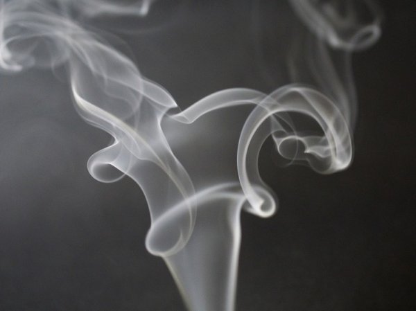 Минпромторг сообщил о снижении незаконного оборота сигарет и вейпов