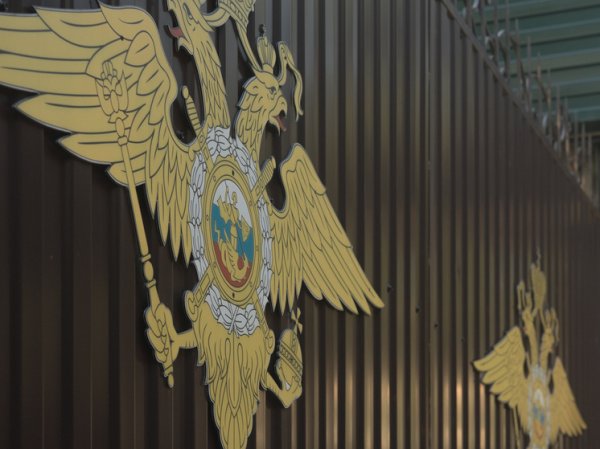 МВД отклонило закрепление в УК наказания за оскорбление бойцов СВО
