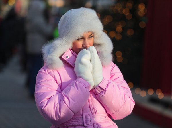 Синоптик Леус предупредил москвичей о лютых морозах на неделю