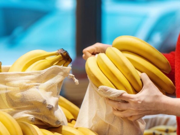 «Никто не заражался»: проживающие в Эквадоре россияне описали ситуацию с бананами