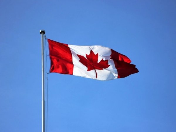Канада попросила "дополнительное время" для ответа по делу Гунько