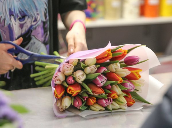 Накануне 8 марта депутаты Госдумы решили поставить заслон «голландским тюльпанам»