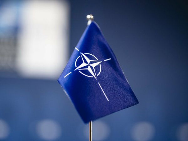 В Италии не поддержали немедленное вступление Украины в НАТО