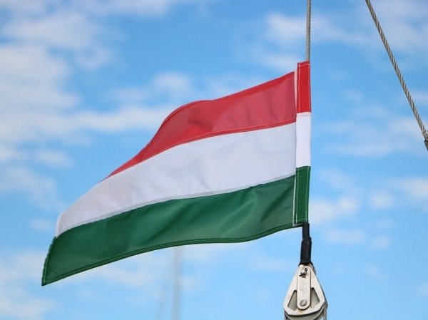 В Венгрии рассказали, когда может состоятся ратификация членства Швеции в НАТО