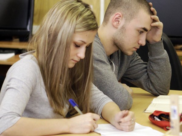 Систему проверки качества школьного образования в РФ подчинили правительству
