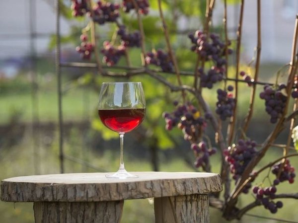 В Испании неизвестный разлил вино на 2,5 миллиона евро