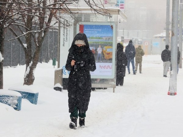 Москвичам пообещали в марте морозы до минус 15 градусов