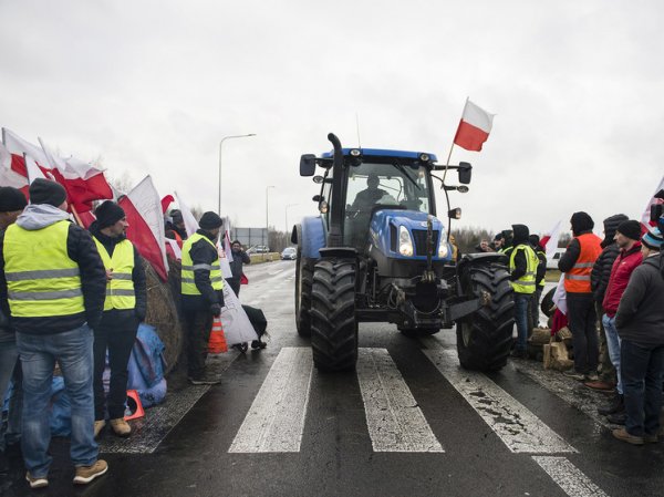 Зерновые бои: пытаясь насолить Украине, польские фермеры пошли против воли США
