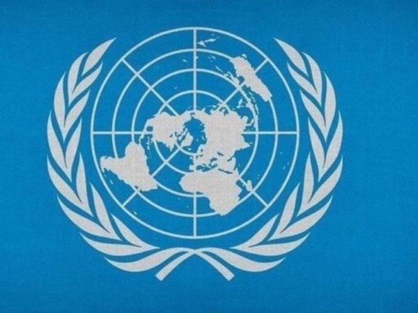В конгрессе США выступили за выход из ООН