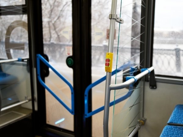 В Кемерово водитель автобуса высадил заплатившего за билет ребенка в мороз