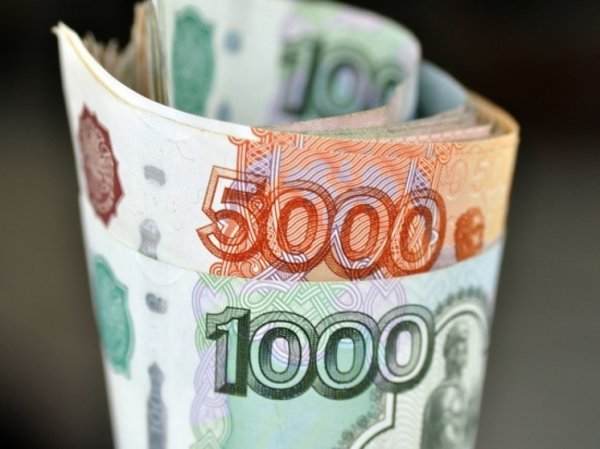В РФ участников СВО освободят от уплаты процентов по кредитам