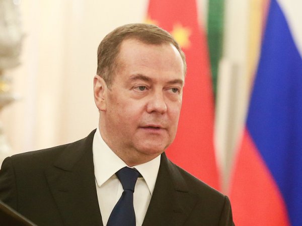 Медведев рассказал о Макроне, которому «ударила в голову моча»