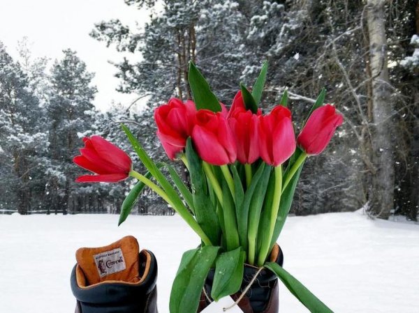 Метеорологическую весну россиянам пообещали в середине марта