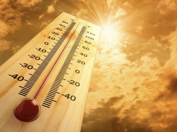 Грядет адская жара: названы три региона с рекордными температурами в этом году