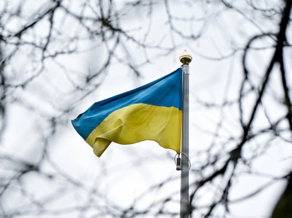 Эксперт назвал примерную сумму долга Украины Западу