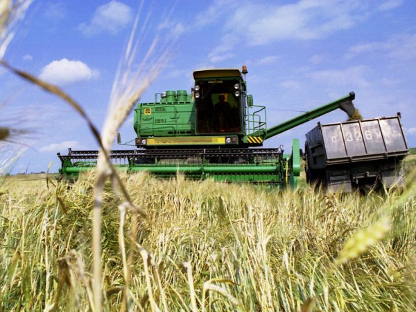 Путин одобрил создание зерновой биржи БРИКС
