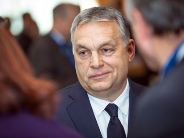 Орбан обсудит с Трампом вопрос установления мира на Украине