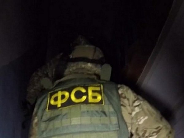 В ДНР нашли и обезвредили заминированный схрон террористов