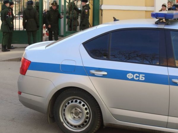 В Санкт-Петербурге задержали боевиков «Русского добровольческого корпуса»