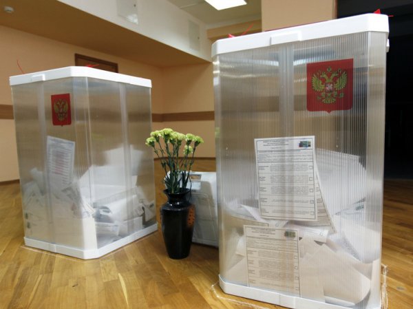 Общественный штаб: Голосование на выборах в Москве проходит без нарушений