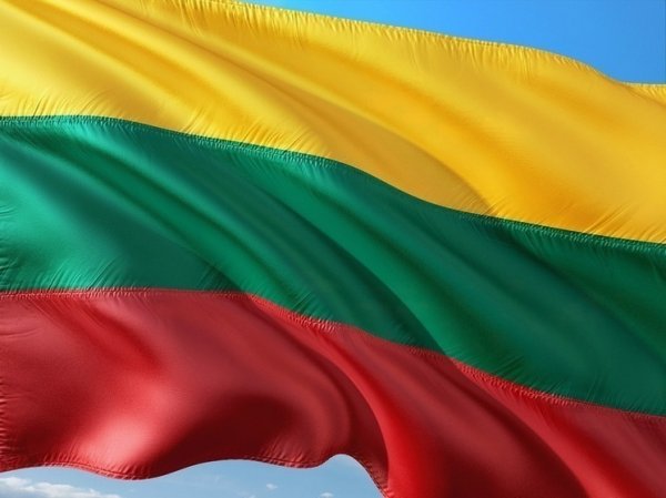 Литва сменит министра обороны