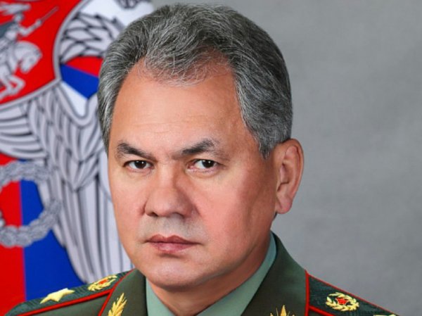 Министр обороны РФ проинспектировал Объединенную группировку войск