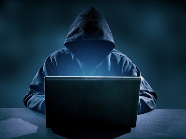 В МВД рассказали, кто становится киберпреступником и почему явление сложно победить