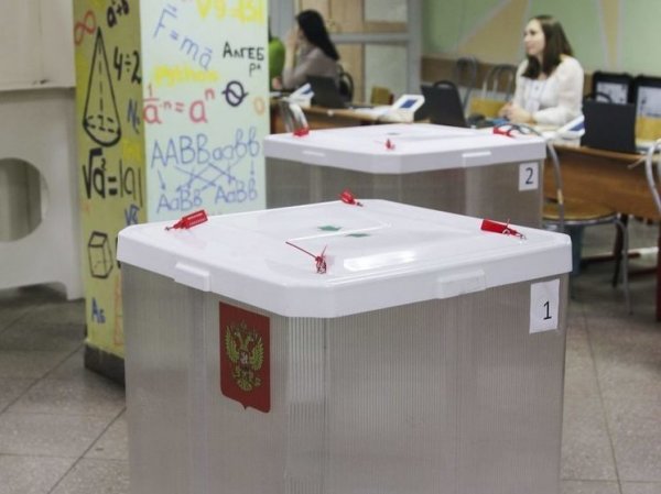 Путин лидирует с 87,15% голосов: обработано 80% протоколов