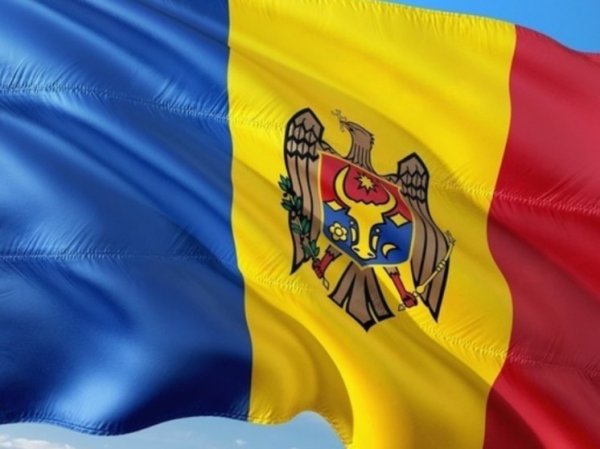 В Минобороны Молдавии признали наличие молдавских наемников в рядах ВСУ