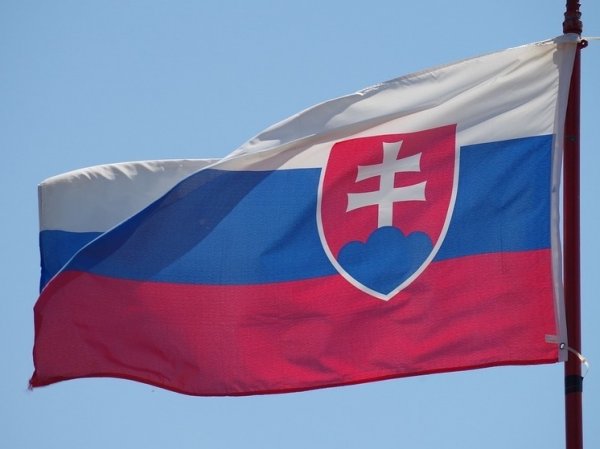 Словакия заявила о готовности сотрудничать с Россией в борьбе с терроризмом