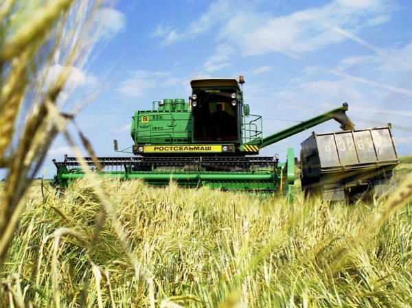 Евросоюз введет запретительные пошлины на зерно из России: названы последствия