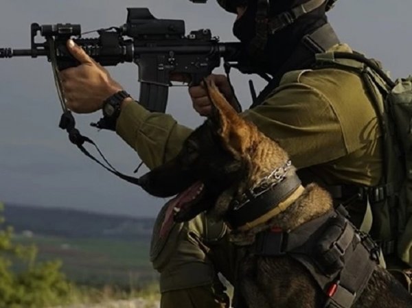 Израиль подтвердил ликвидацию замкомандующего боевым крылом ХАМАС