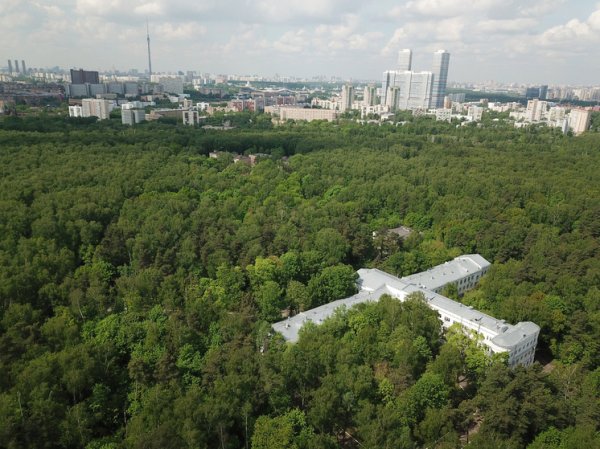Названы лучшие московские парки с новостройками в пешей доступности