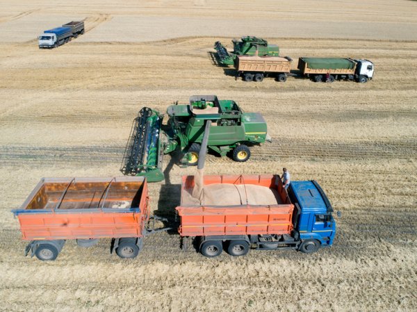 Россия стала мировым лидером по экспорту зерновых