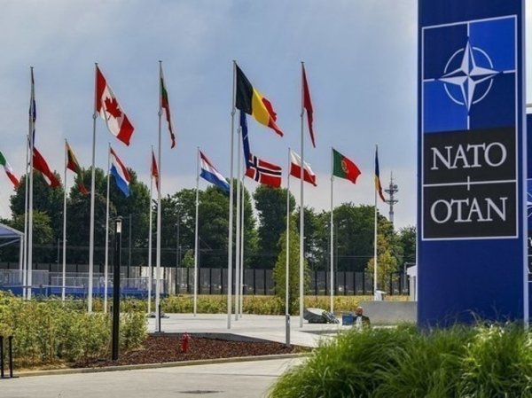 Американский конгрессмен призвал власти США покинуть НАТО