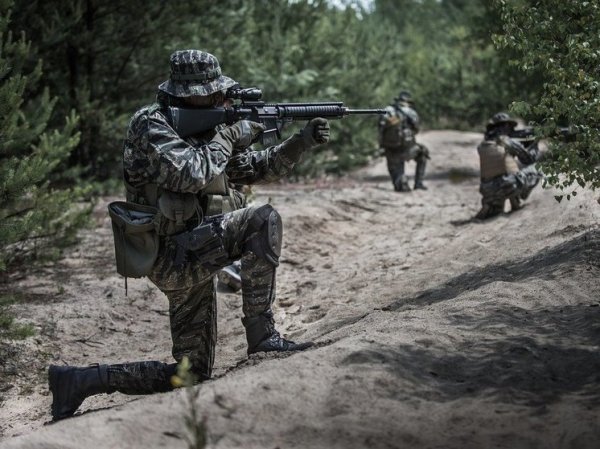В МИД РФ отреагировали на участие шведских наемников в боях на стороне ВСУ