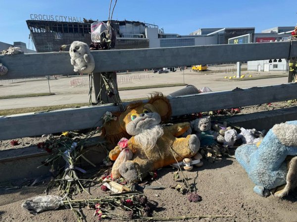 «Цветы завяли, игрушки унесло ветром»: что происходит около «Крокуса» спустя две недели после теракта
