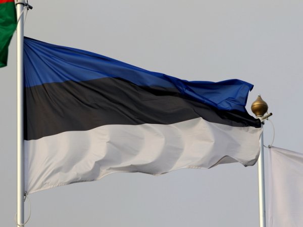 Эстония нашла возможность для выделения Украине еще миллиона снарядов
